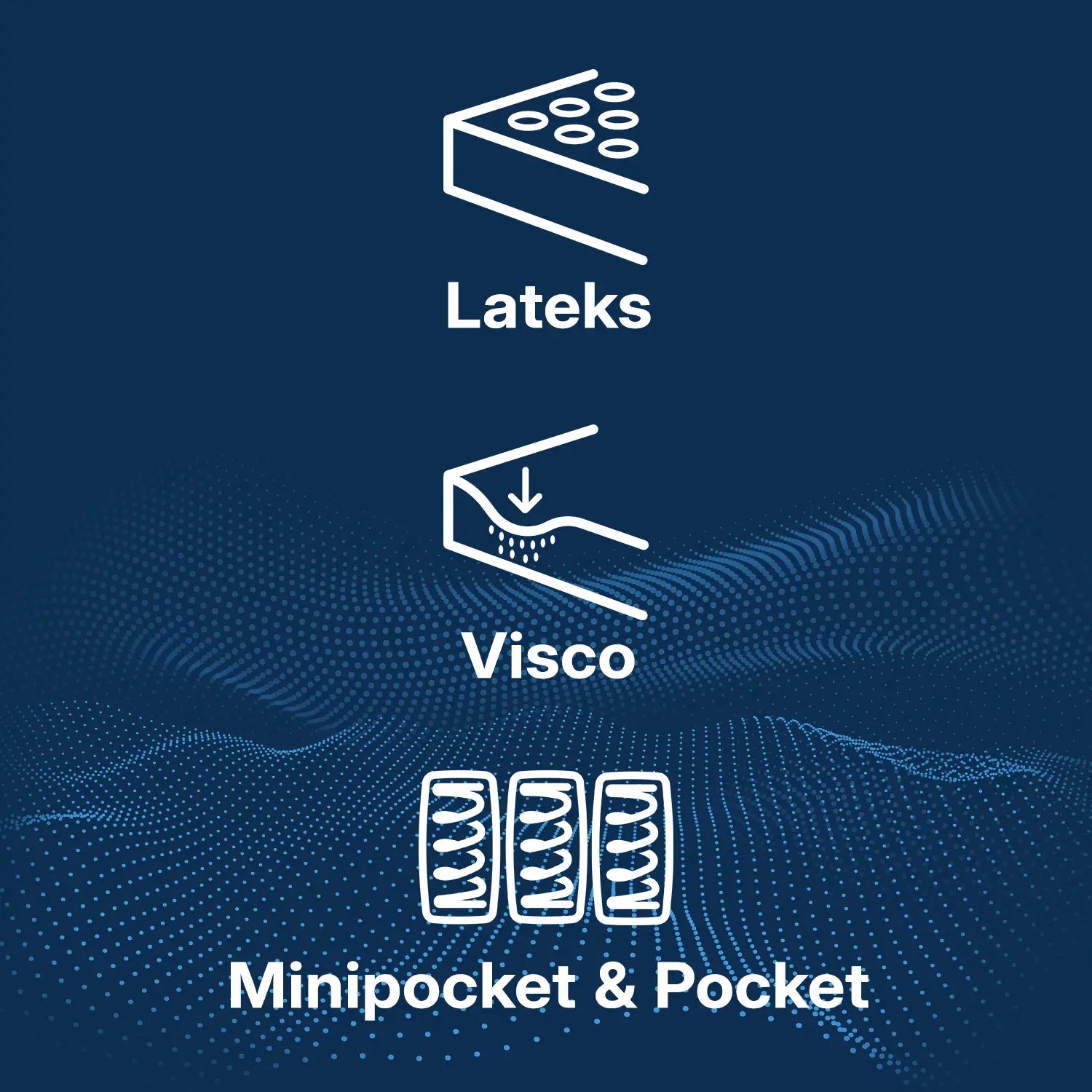 Semmi Kontynentalny Silver